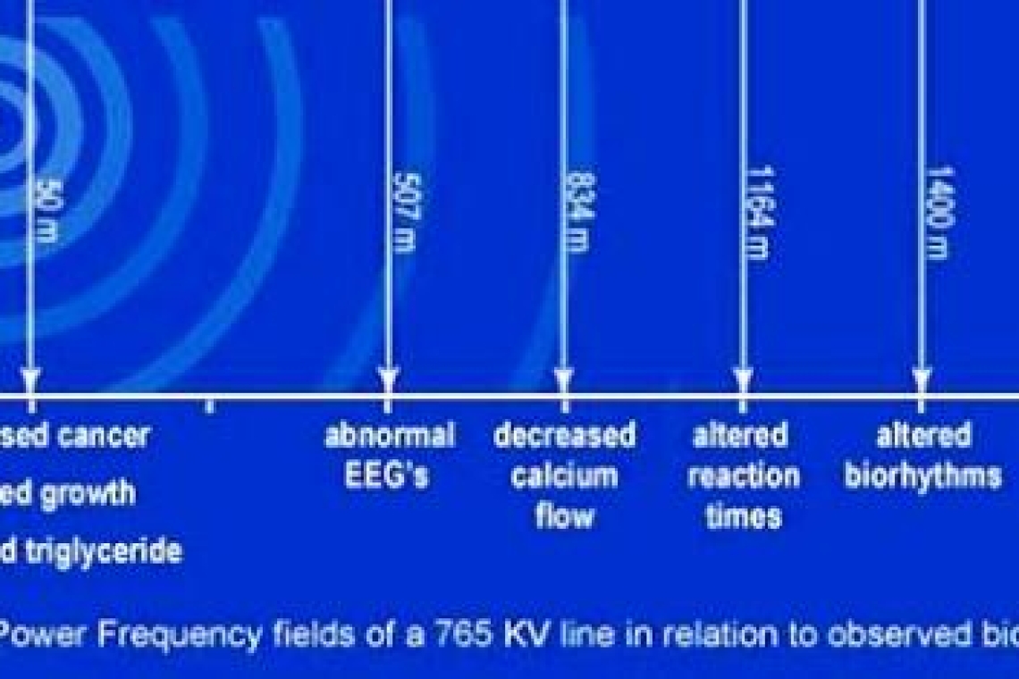 Электромагнитная безопасность жилища. Зона ЛЭП.