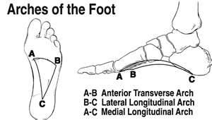 Плоскостопие. Подбор обуви для правильного развития свода стопы.