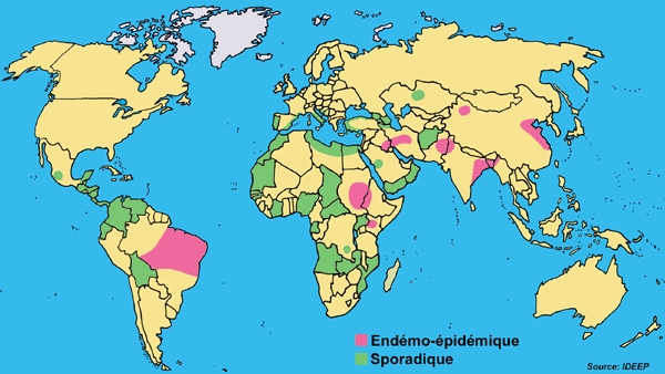 После укуса комара образовалась язва на ногах. Лейшманиоз- опасная болезнь человека.