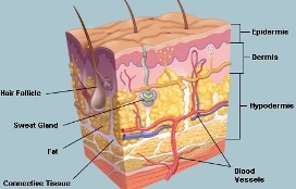Виды рубцов. Как избавиться от рубцов и шрамов.